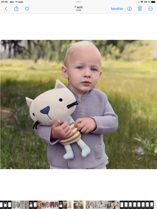 Handmade plush toy: Rémi the cat 