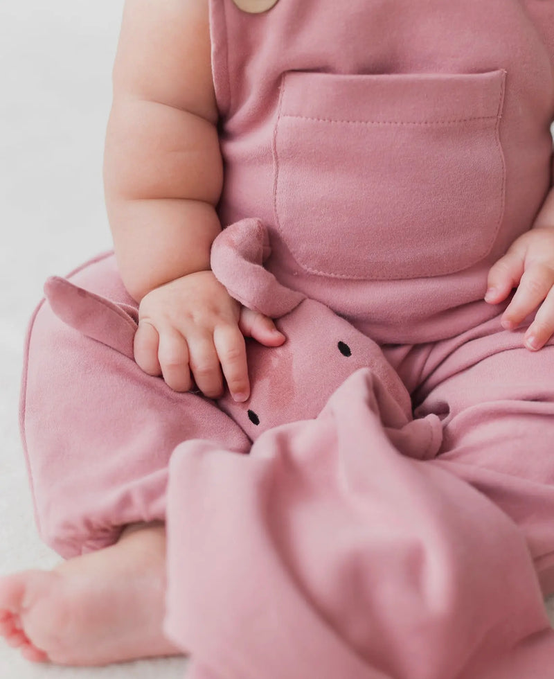 Load image into Gallery viewer, Doudou Lapin brossé Lovey-Berry coton bio - Boutique Kaki Lilas
