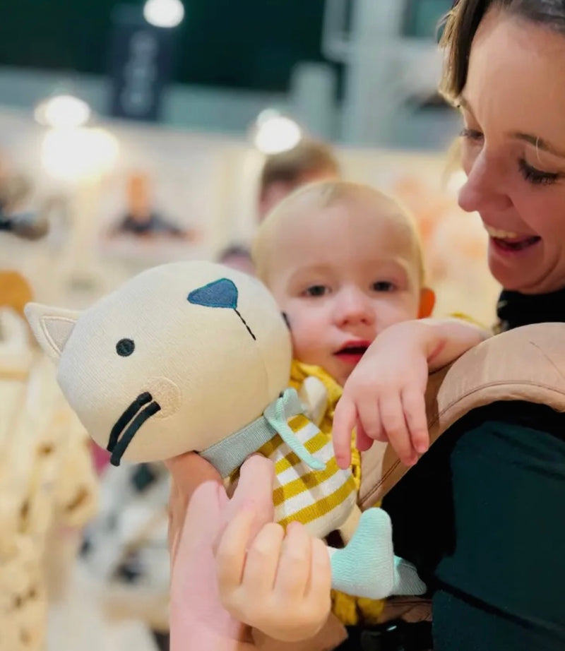 Load image into Gallery viewer, Handmade plush toy: Rémi the cat 
